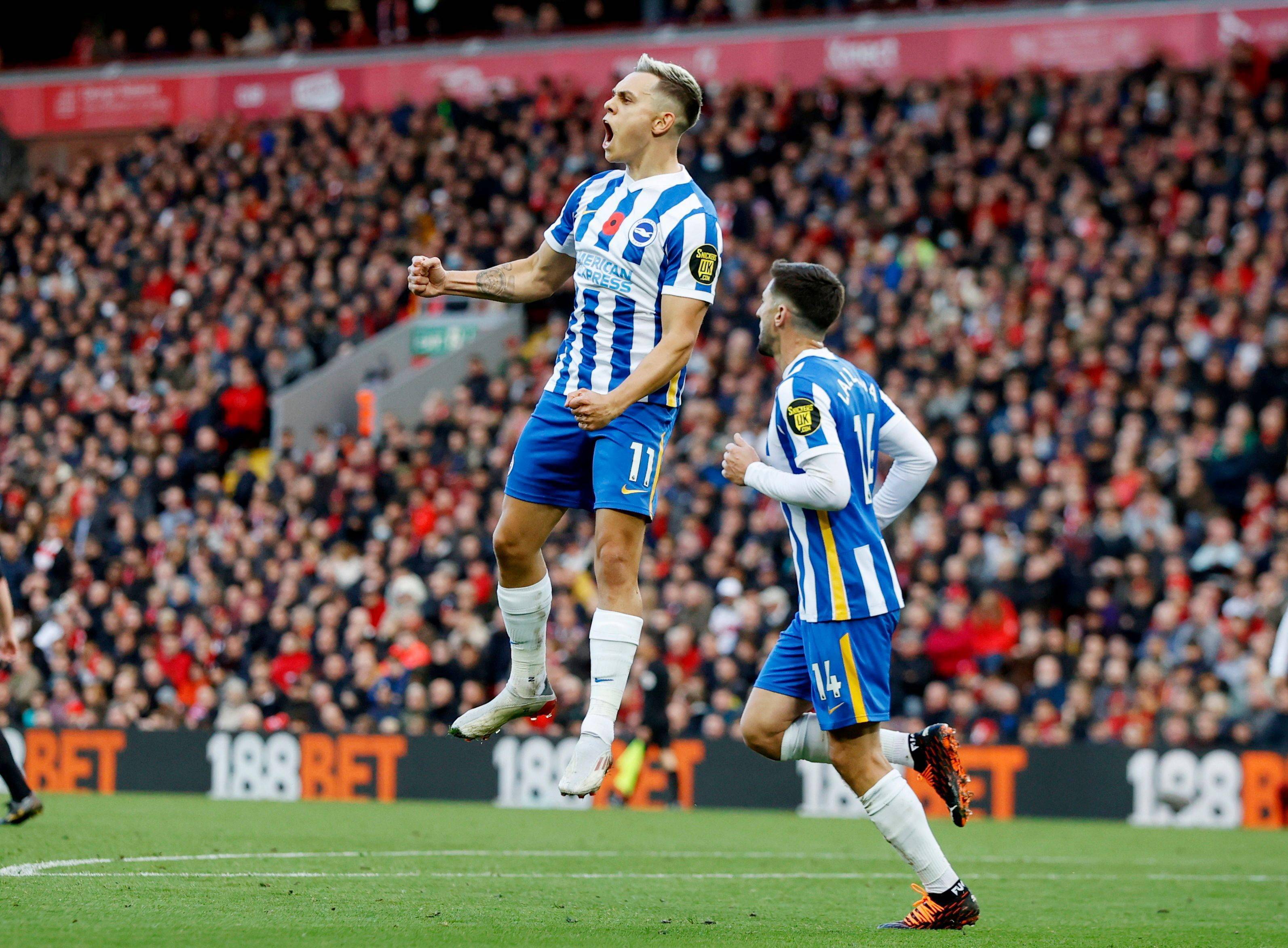 书写了一段 书写了一段